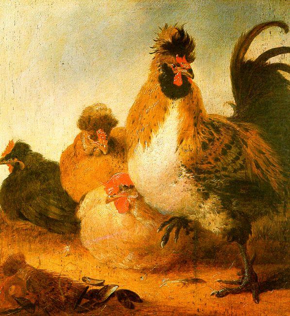 Aelbert Cuyp Rooster Hens china oil painting image